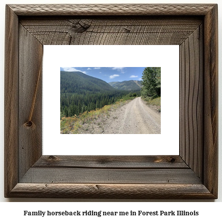 family horseback riding near me in Forest Park, Illinois